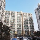 삼신 주식회사 이미지