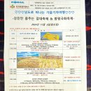 홍익여행(주)