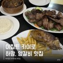 (오전)이집트전통벨리댄스 | 이집트 전통 음식 카이로 비둘기 하맘, 양갈비 맛집 Antar El Kababgy 추천