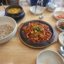 보리쭈꾸미 이미지