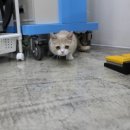 나눔동물병원 이미지