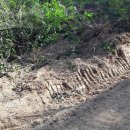 영빈농장 이미지