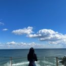 강릉 씨마크 호텔 ㅣ 트윈퀸싱글룸 후기! 내 사랑 씨마크🐬
