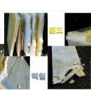 대새환경 이미지