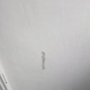 협진도료 이미지