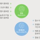 엉클플러스 이미지
