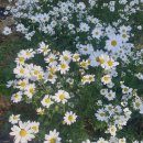 번성농장 이미지