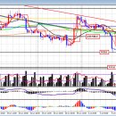 7월11일 FX마진거래 앙드레의 투자전략(EUR/USD) 이미지