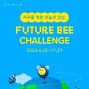 33 이미지