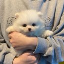 연제구-045 이미지