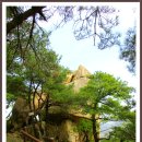 제40차 경주 남산 및 보문단지 벚꽃구경 무박산행 공지 이미지