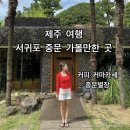 수수별장 | [제주 여행 서귀포 가볼만한곳] 중문별장 커마카세 내돈내산 후기