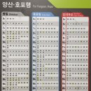 지하철2호선서면역 이미지