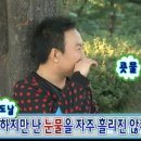 고양이 미용실 이미지