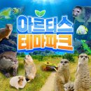 (주)아르티스