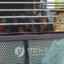 (주)제이유엔 이미지