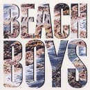 I Get Around -The Beach Boys- 이미지