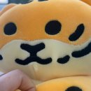 바로세움치과의원 이미지