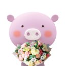 강원다누리신용협동조합 이미지