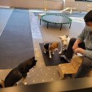 이재룡의 뭉개뭉개유치원 이미지