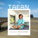 태안읍사무소 | 태안 학암포야영장 Ⅰ 명당과 편의시설, 장단점, 카라반 후기까지 총정리