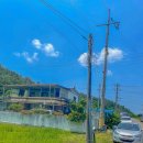 새금복식당 이미지