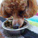 빵근맘마 이미지