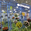 고양시 국제꽃박람회 탐방 후기 2025년 4월 26일 이미지