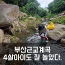 만포다슬기 | 부산 근교 계곡 - 김해 장척계곡 아이와 물놀이 후기