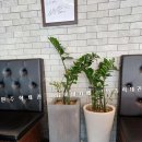 UR(원주시)-[늘품로]-하-5 | 청연, 진짜 여기는 맛에서 한차원 높은 수준을 느낄 수 있네요~~