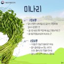 미나리슈퍼 이미지