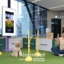 펫(PET)과 함께 이미지