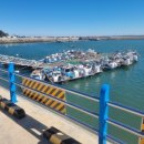 장고항바다 좌대낚시터 이미지