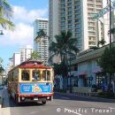 "와이키키-트롤리(Waikiki-Trolley)" 버스정보 이미지