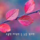 김경남 &#34;님의 향기&#34; 입니다 (가사 포함) ~~~ ^^ 이미지