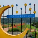 정시원콩나물국밥 | 함안맛집 _정시원콩나물국밥집