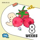 중계제일의원 | [임신#5] 8주차 일기 (2등신 새복이, 산후조리원 예약 완료)