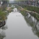 세류동 수원천 옆 길 이미지