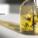 정석컴퓨터학원 이미지