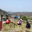 복수면 면사무소 이미지