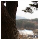 천리농원 이미지