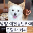 오할
