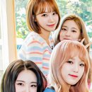 채원 이미지
