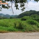 구산면418 네이버블로그