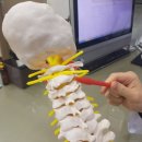 투게더한의원 이미지