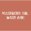 빅스마일 이미지