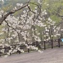 양평쉬자파크 이미지