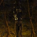 장복산길 이미지