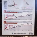 팔공산원효구도의길 | [대구 가볼만한곳, 팔공산 가볼만한곳, 팔공산등산코스] 팔공산 원효구도의 길 왕복 후기