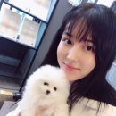 티아 이미지